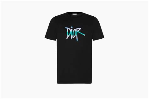 dior and shawn tshirt|Shawn Stussy x DIOR Logo T.